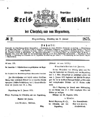 Königlich-bayerisches Kreis-Amtsblatt der Oberpfalz und von Regensburg (Königlich bayerisches Intelligenzblatt für die Oberpfalz und von Regensburg) Samstag 9. Januar 1875