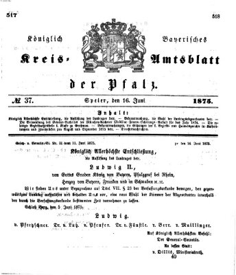 Königlich-bayerisches Kreis-Amtsblatt der Pfalz (Königlich bayerisches Amts- und Intelligenzblatt für die Pfalz) Mittwoch 16. Juni 1875