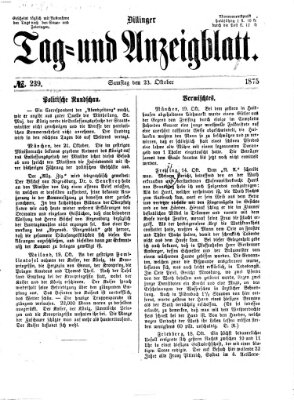 Dillinger Tag- und Anzeigeblatt (Tagblatt für die Städte Dillingen, Lauingen, Höchstädt, Wertingen und Gundelfingen) Samstag 23. Oktober 1875