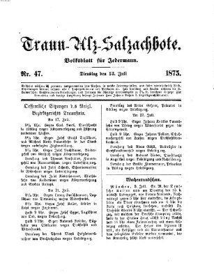 Traun-Alz-Salzachbote Dienstag 13. Juli 1875