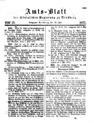 Amtsblatt für den Regierungsbezirk Arnsberg Samstag 19. Juni 1875