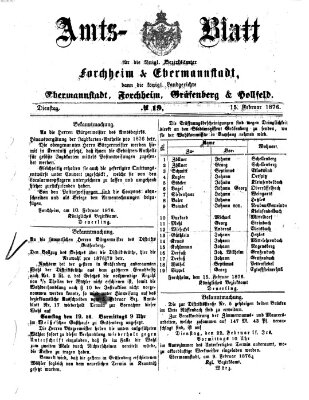 Amtsblatt für die Königlichen Bezirksämter Forchheim und Ebermannstadt sowie für die Königliche Stadt Forchheim Dienstag 15. Februar 1876