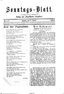 Ingolstädter Tagblatt Sonntag 23. Januar 1876