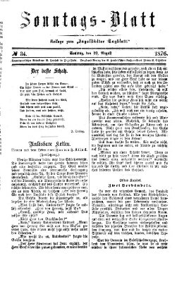 Ingolstädter Tagblatt Sonntag 20. August 1876