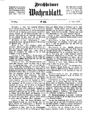 Amtsblatt für die Königlichen Bezirksämter Forchheim und Ebermannstadt sowie für die Königliche Stadt Forchheim Dienstag 5. Juni 1877