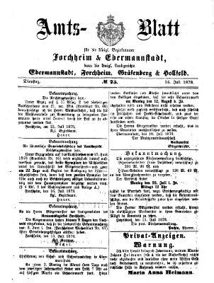 Amtsblatt für die Königlichen Bezirksämter Forchheim und Ebermannstadt sowie für die Königliche Stadt Forchheim Dienstag 16. Juli 1878