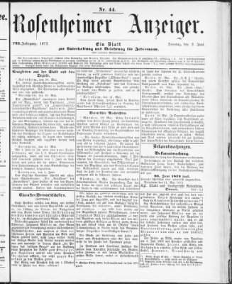 Rosenheimer Anzeiger Sonntag 2. Juni 1872