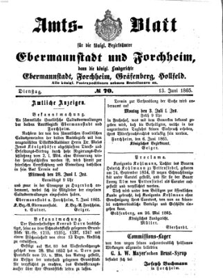 Amtsblatt für die Königlichen Bezirksämter Forchheim und Ebermannstadt sowie für die Königliche Stadt Forchheim Dienstag 13. Juni 1865