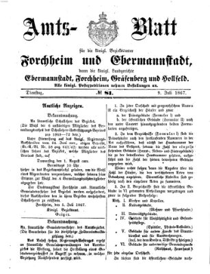 Amtsblatt für die Königlichen Bezirksämter Forchheim und Ebermannstadt sowie für die Königliche Stadt Forchheim Dienstag 9. Juli 1867