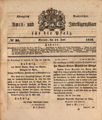 Königlich bayerisches Amts- und Intelligenzblatt für die Pfalz Sonntag 17. Juni 1838