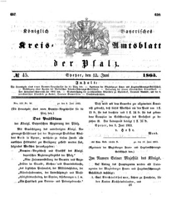 Königlich-bayerisches Kreis-Amtsblatt der Pfalz (Königlich bayerisches Amts- und Intelligenzblatt für die Pfalz) Freitag 12. Juni 1863