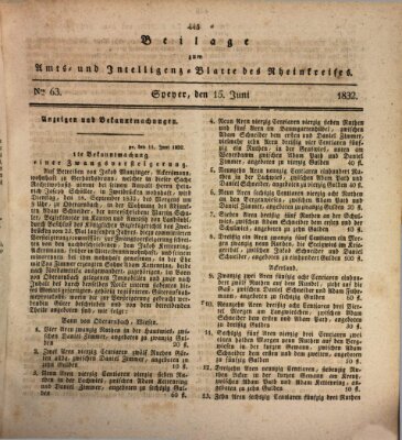 Amts- und Intelligenzblatt des Königlich Bayerischen Rheinkreises (Königlich bayerisches Amts- und Intelligenzblatt für die Pfalz) Freitag 15. Juni 1832
