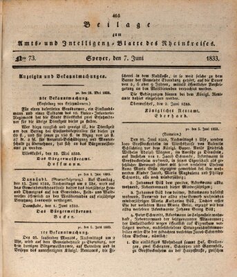 Amts- und Intelligenzblatt des Königlich Bayerischen Rheinkreises (Königlich bayerisches Amts- und Intelligenzblatt für die Pfalz) Freitag 7. Juni 1833