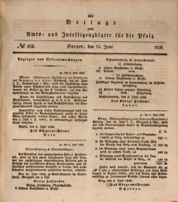 Königlich bayerisches Amts- und Intelligenzblatt für die Pfalz Dienstag 12. Juni 1838