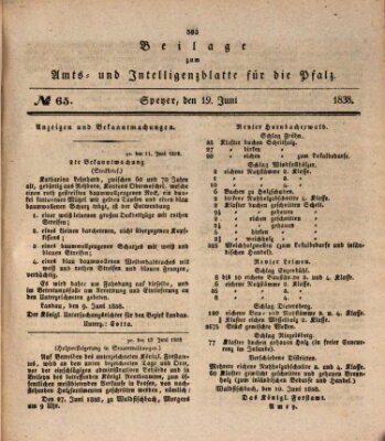 Königlich bayerisches Amts- und Intelligenzblatt für die Pfalz Dienstag 19. Juni 1838