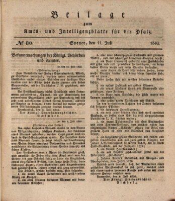Königlich bayerisches Amts- und Intelligenzblatt für die Pfalz Samstag 11. Juli 1840