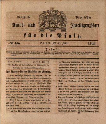 Königlich bayerisches Amts- und Intelligenzblatt für die Pfalz Donnerstag 30. Juni 1842