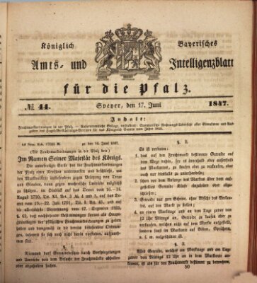 Königlich bayerisches Amts- und Intelligenzblatt für die Pfalz Donnerstag 17. Juni 1847