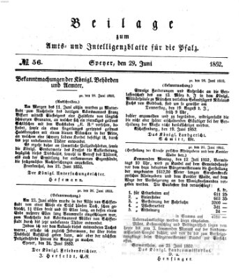 Königlich bayerisches Amts- und Intelligenzblatt für die Pfalz Dienstag 29. Juni 1852