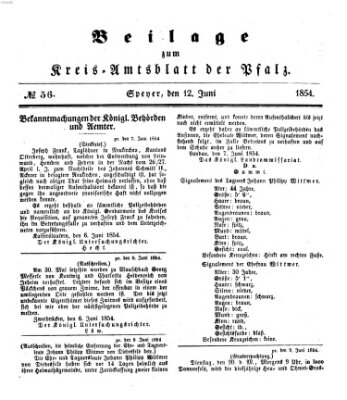 Königlich-bayerisches Kreis-Amtsblatt der Pfalz (Königlich bayerisches Amts- und Intelligenzblatt für die Pfalz) Montag 12. Juni 1854