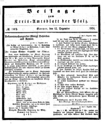 Königlich-bayerisches Kreis-Amtsblatt der Pfalz (Königlich bayerisches Amts- und Intelligenzblatt für die Pfalz) Dienstag 12. Dezember 1854