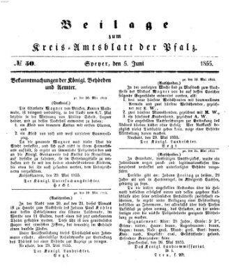 Königlich-bayerisches Kreis-Amtsblatt der Pfalz (Königlich bayerisches Amts- und Intelligenzblatt für die Pfalz) Dienstag 5. Juni 1855