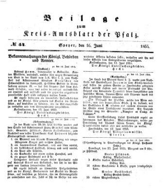 Königlich-bayerisches Kreis-Amtsblatt der Pfalz (Königlich bayerisches Amts- und Intelligenzblatt für die Pfalz) Samstag 16. Juni 1855
