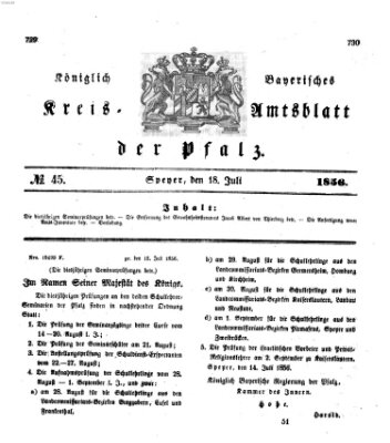 Königlich-bayerisches Kreis-Amtsblatt der Pfalz (Königlich bayerisches Amts- und Intelligenzblatt für die Pfalz) Freitag 18. Juli 1856