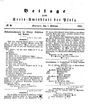 Königlich-bayerisches Kreis-Amtsblatt der Pfalz (Königlich bayerisches Amts- und Intelligenzblatt für die Pfalz) Freitag 1. Februar 1856