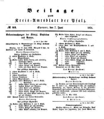 Königlich-bayerisches Kreis-Amtsblatt der Pfalz (Königlich bayerisches Amts- und Intelligenzblatt für die Pfalz) Samstag 7. Juni 1856