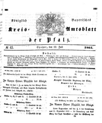 Königlich-bayerisches Kreis-Amtsblatt der Pfalz (Königlich bayerisches Amts- und Intelligenzblatt für die Pfalz) Mittwoch 12. Juli 1865