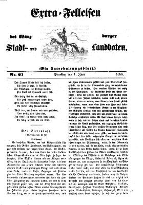Würzburger Stadt- und Landbote Dienstag 1. Juni 1858