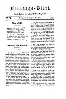 Ingolstädter Tagblatt Sonntag 11. Juni 1865