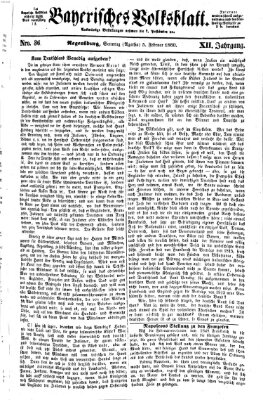 Bayerisches Volksblatt (Regensburger Morgenblatt) Sonntag 5. Februar 1860