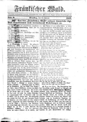 Fränkischer Wald Dienstag 11. Januar 1859