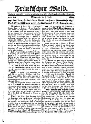 Fränkischer Wald Mittwoch 6. April 1859