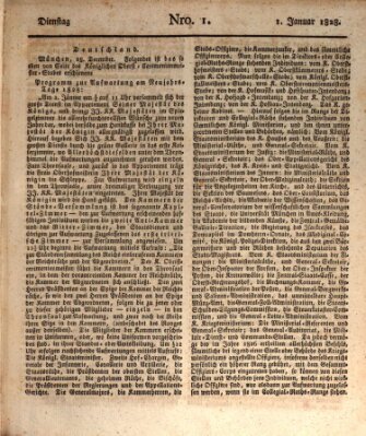 Bayreuther Zeitung Dienstag 1. Januar 1828