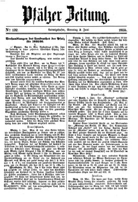 Pfälzer Zeitung Sonntag 3. Juni 1855