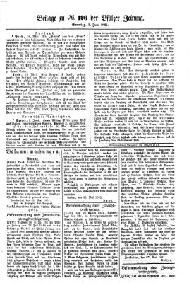 Pfälzer Zeitung Samstag 1. Juni 1861