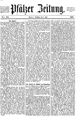 Pfälzer Zeitung Dienstag 1. Juni 1869