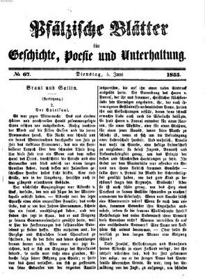 Pfälzische Blätter für Geschichte, Poesie und Unterhaltung (Zweibrücker Wochenblatt) Dienstag 5. Juni 1855