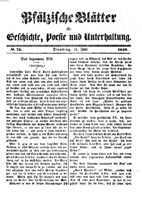 Pfälzische Blätter für Geschichte, Poesie und Unterhaltung (Zweibrücker Wochenblatt) Dienstag 22. Juni 1858