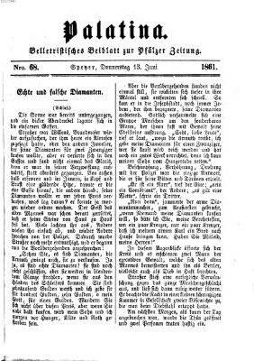 Palatina (Pfälzer Zeitung) Donnerstag 13. Juni 1861