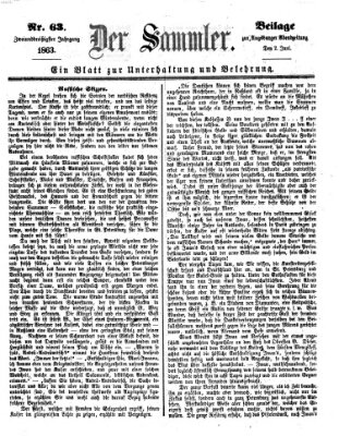 Der Sammler (Augsburger Abendzeitung) Dienstag 2. Juni 1863