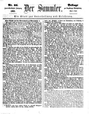 Der Sammler (Augsburger Abendzeitung) Samstag 6. Juni 1863
