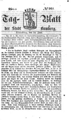 Tag-Blatt der Stadt Bamberg (Bamberger Tagblatt) Dienstag 14. Juni 1864