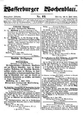 Wasserburger Wochenblatt Sonntag 6. Juni 1858