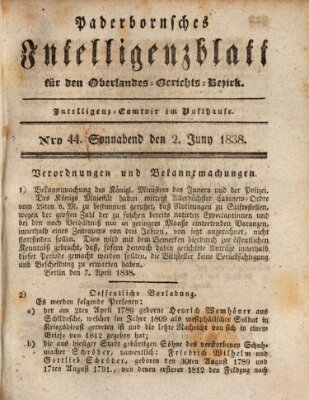 Paderbornsches Intelligenzblatt Samstag 2. Juni 1838