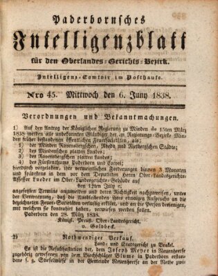 Paderbornsches Intelligenzblatt Mittwoch 6. Juni 1838