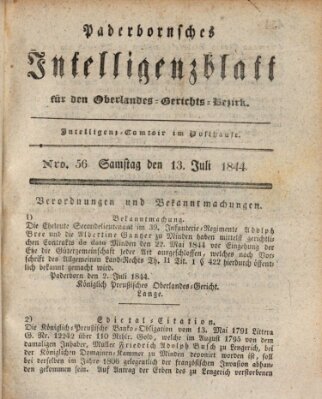 Paderbornsches Intelligenzblatt Samstag 13. Juli 1844